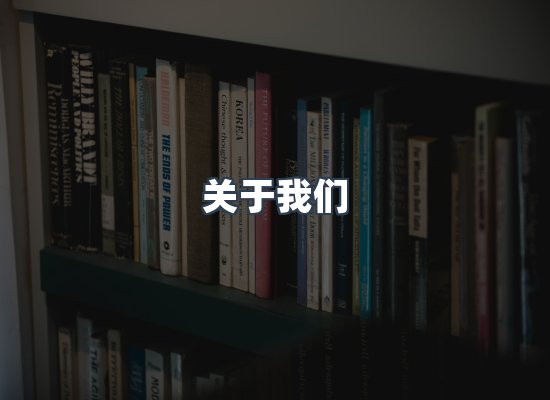 关于我们